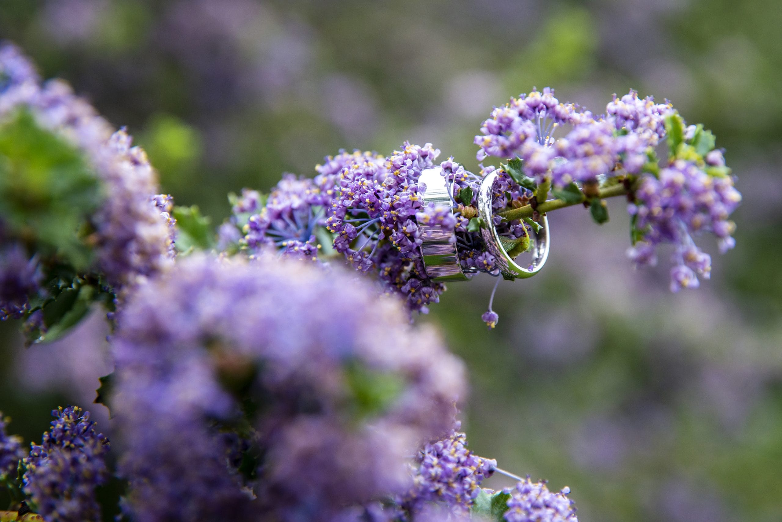 Mr & Mrs Richardson_297